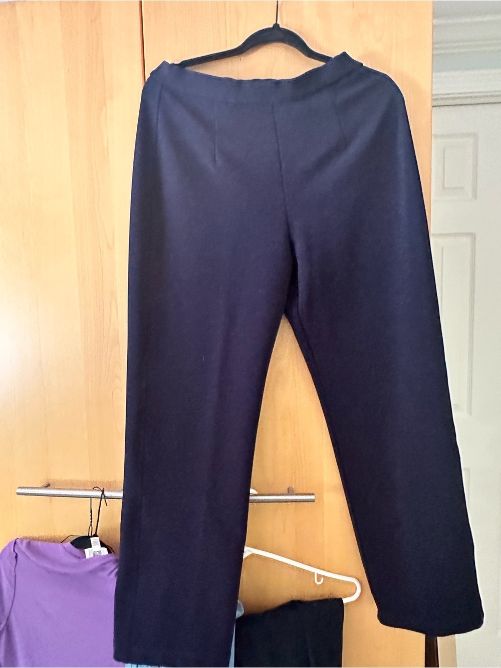 Chicos design Classic Women's Navy Straight-Leg Pants Chicos size 2